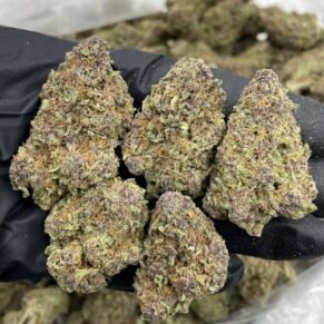 In terms of effects, Cherry Sprite is often described as a balanced hybrid. Users typically experience an uplifting and euphoric mental buzz that can boost mood and creativity. At the same time, it provides a gentle body relaxation that helps reduce stress without causing heavy sedation. Because of this balance, it can be suitable for daytime or evening use depending on tolerance levels.