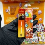 Favorites Disposable 2G