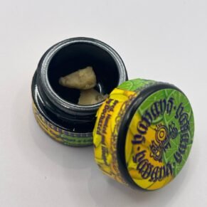 Hassans x Dochazed Bananalima 1G