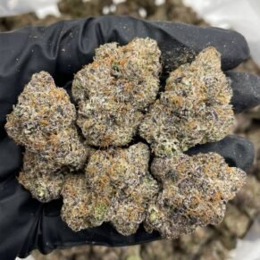 Milk Chocolate Runtz Strain