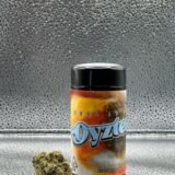 Oysterz Strain