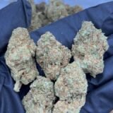 Peach Zkittlez Strain