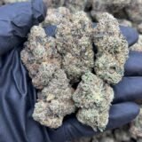 Russian Runtz Strain