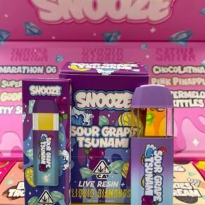 Snooze Disposable 2G