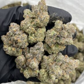 Cherry Cotton  delivers a balanced experience that starts with a gentle uplifting feeling, helping to boost mood and creativity. As the effects settle in, a calming body relaxation follows, making it a great choice for unwinding after a long day without feeling overly heavy.