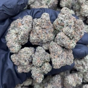 Discover the exceptional qualities of Blue Nerds, a meticulously crafted hybrid strain that delivers a harmonious blend of uplifting creativity and soothing relaxation. Created by Global Genetics LA through the crossing of Runtz and The Original Z, Blue Nerds has earned its place among cannabis enthusiasts seeking a well-rounded, flavorful experience that excels in both recreational and therapeutic applications [1].