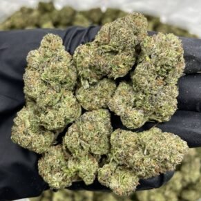 Cherry Poppers Strain – Description 🍒 Cherry Poppers is a flavorful cannabis strain known for its sweet cherry aroma and fruity taste. It usually has a balanced hybrid effect, meaning it can give both relaxation and a light uplifting feeling. Appearance: Cherry Poppers buds are often dense and colorful, with green and purple tones, covered in sparkling trichomes and bright orange hairs. Aroma & Flavor: Sweet cherry scent 🍒 Fruity and slightly candy-like taste Sometimes hints of berries and citrus Effects: Uplifting mood Relaxing body feeling Mild euphoria Can help with stress and tension THC Level: Usually moderate to high THC, so effects may be strong for beginners. Common Uses: Stress relief Relaxation after a long day Social or creative activities